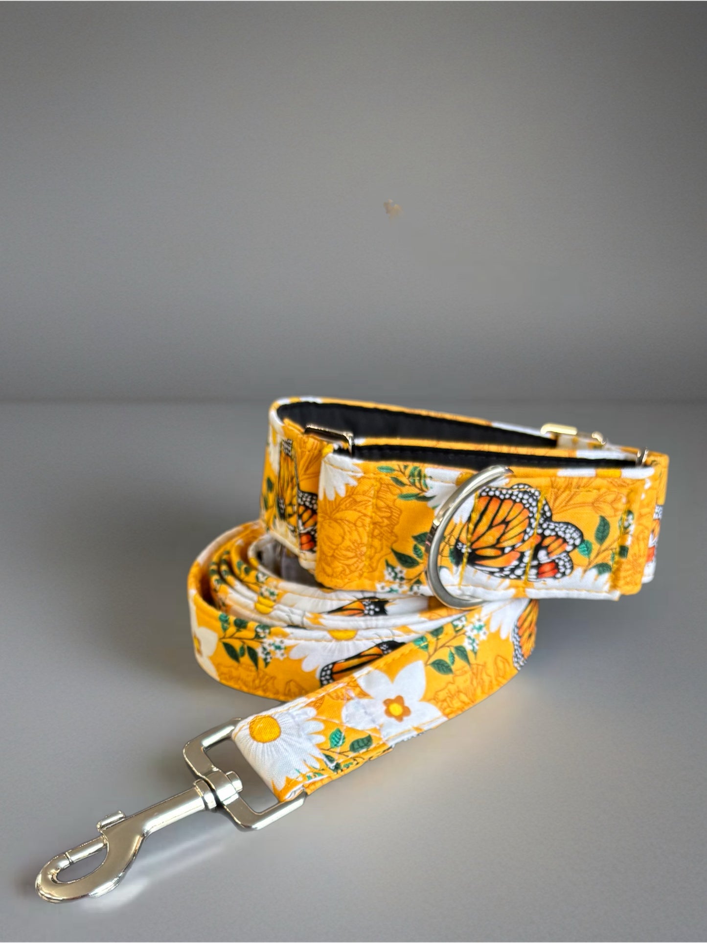 Summer gold butterflies cotton covered greyhound Martingale collar