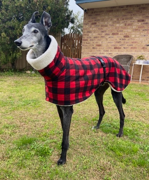 The red Lumberjack Greyhound coat in deluxe style rug red black tartan RRRUFF