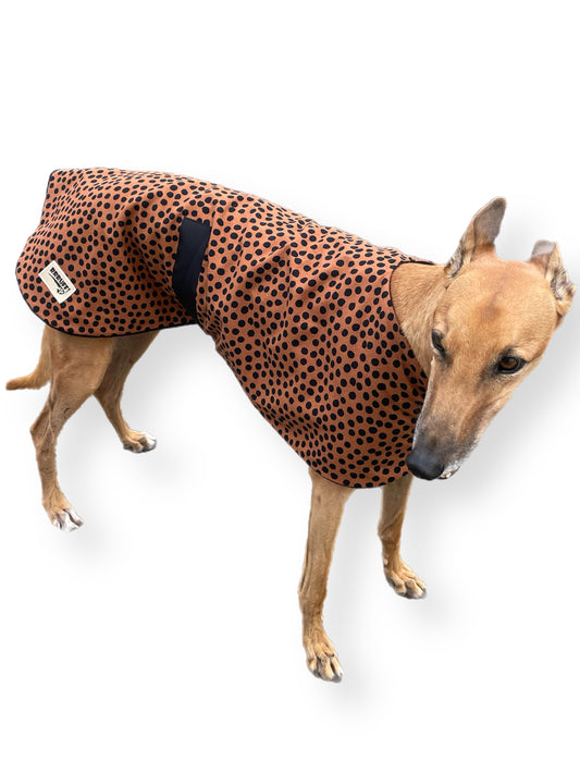 Going Dotty Autumn range classic style Greyhound coat in cotton & inner fleece washable