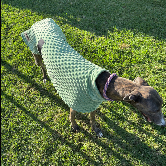 Velvet touch sage green minky fleece sports