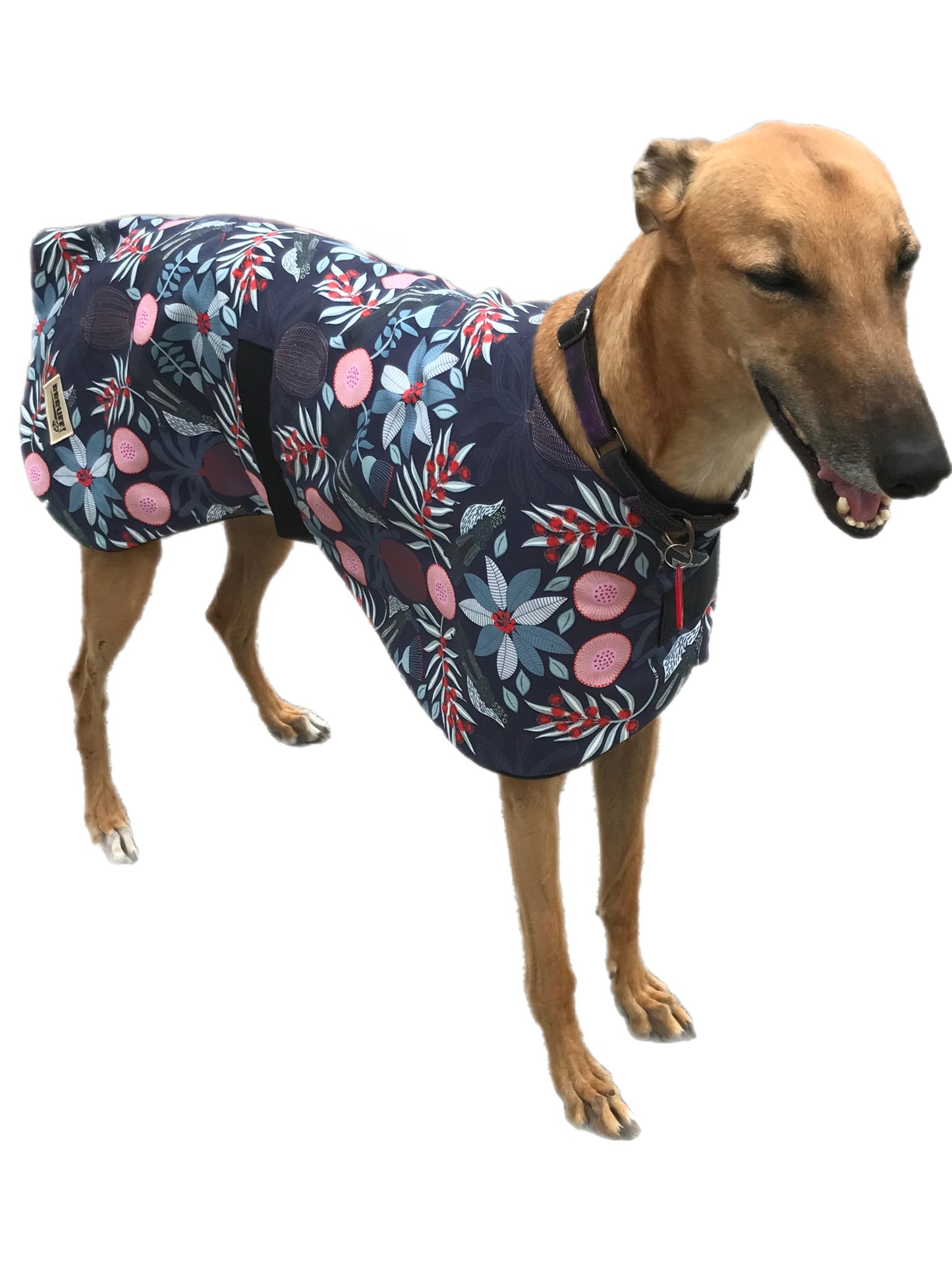 Australiana bottlebrush design greyhound lightweight coat cotton fleece