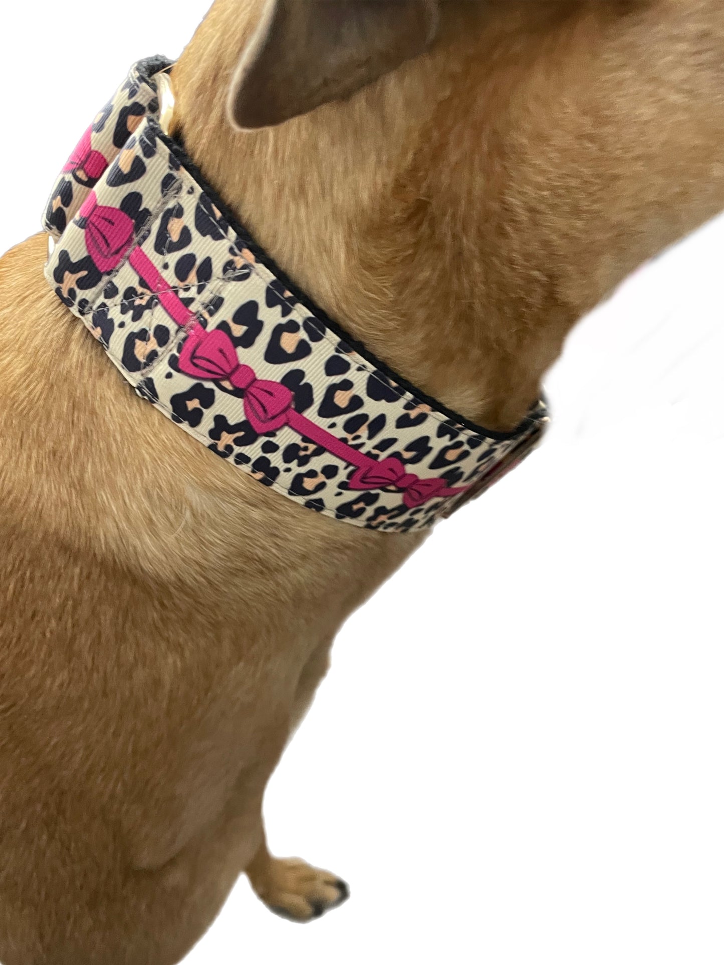 Leopard and pink bow grosgrain ribbon sewn on black cotton webbing Martingale collar greyhound 5cms width on sale