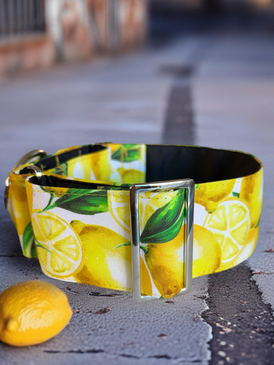 Squeezy pleasy Lemon print Greyhound Martingale collar cotton soft