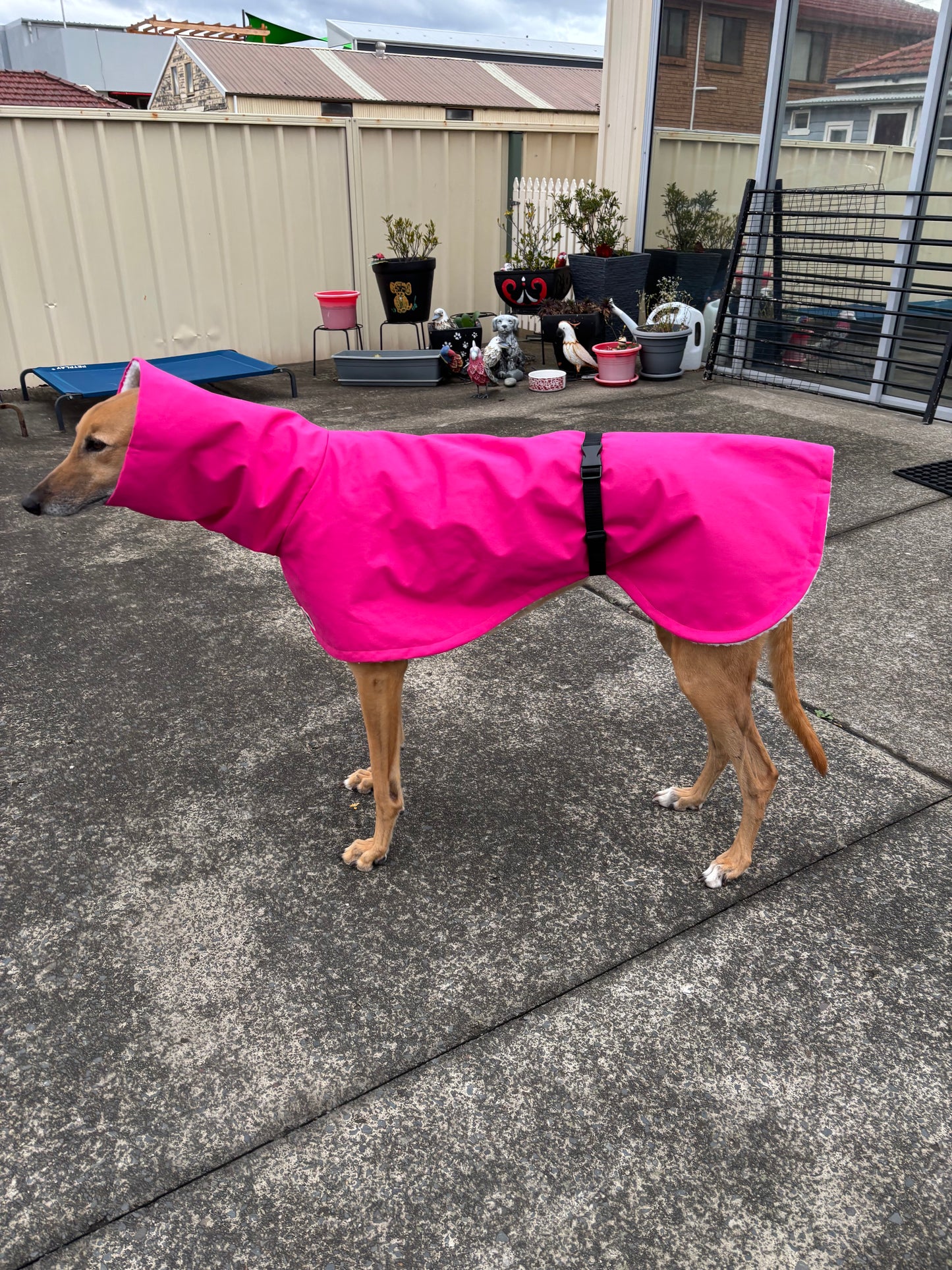 Driden Lux Sherpa Greyhound & whippet deluxe raincoats