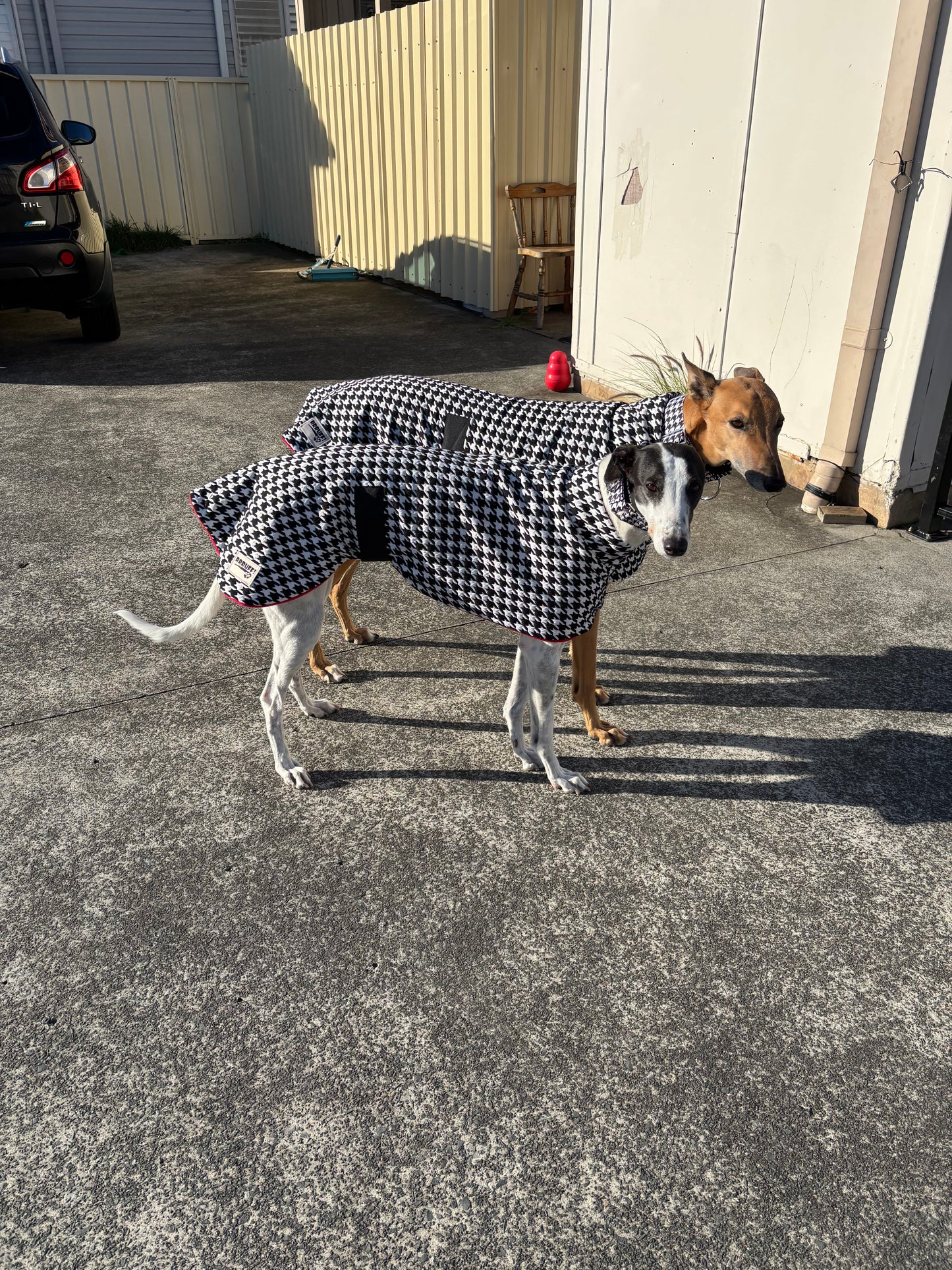 Oops Greyhound small size sports coat Houndstooth black and white with red inner fleece