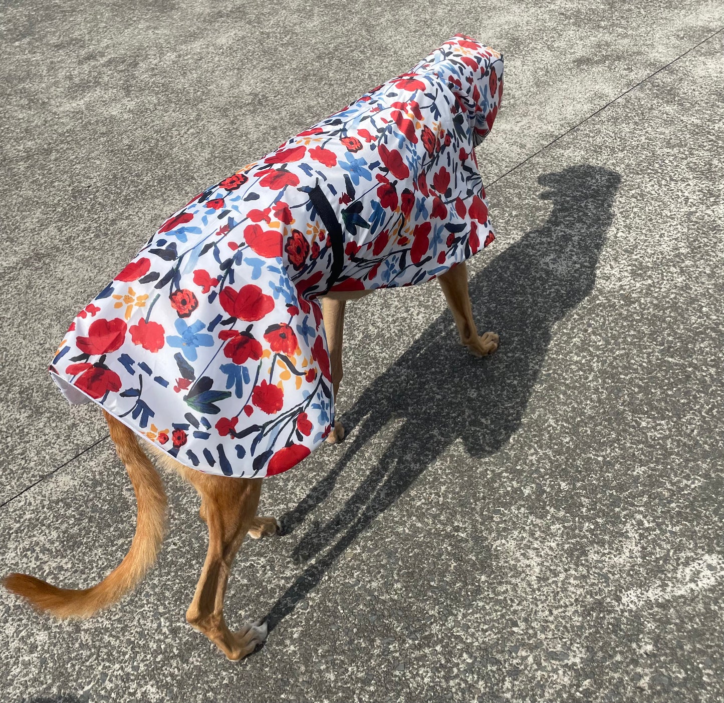 Poppy red Greyhound coat deluxe style, summer rainwear, washable