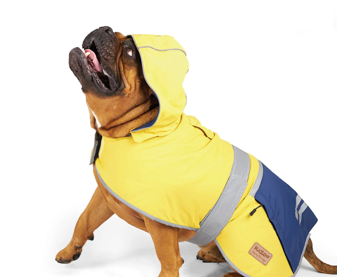 Kazoo Cozy Raincoat Mustard clearance