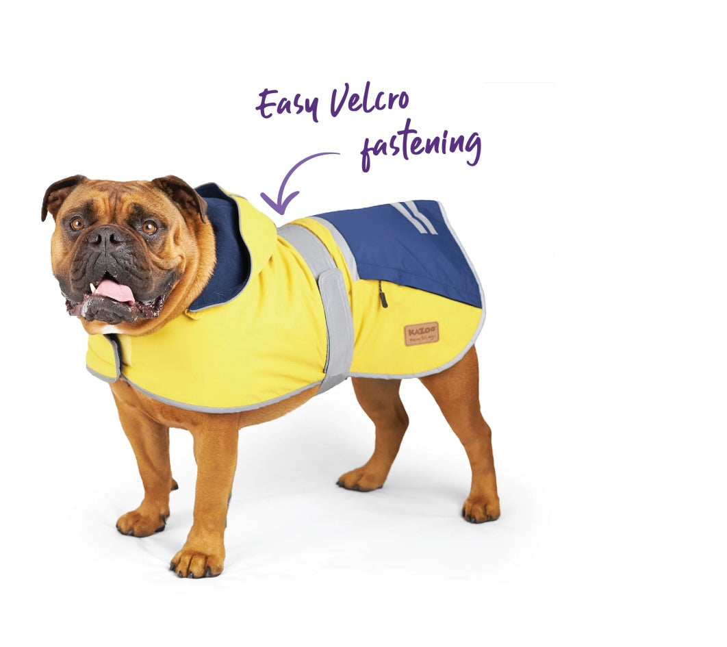 Kazoo Cozy Raincoat Mustard clearance