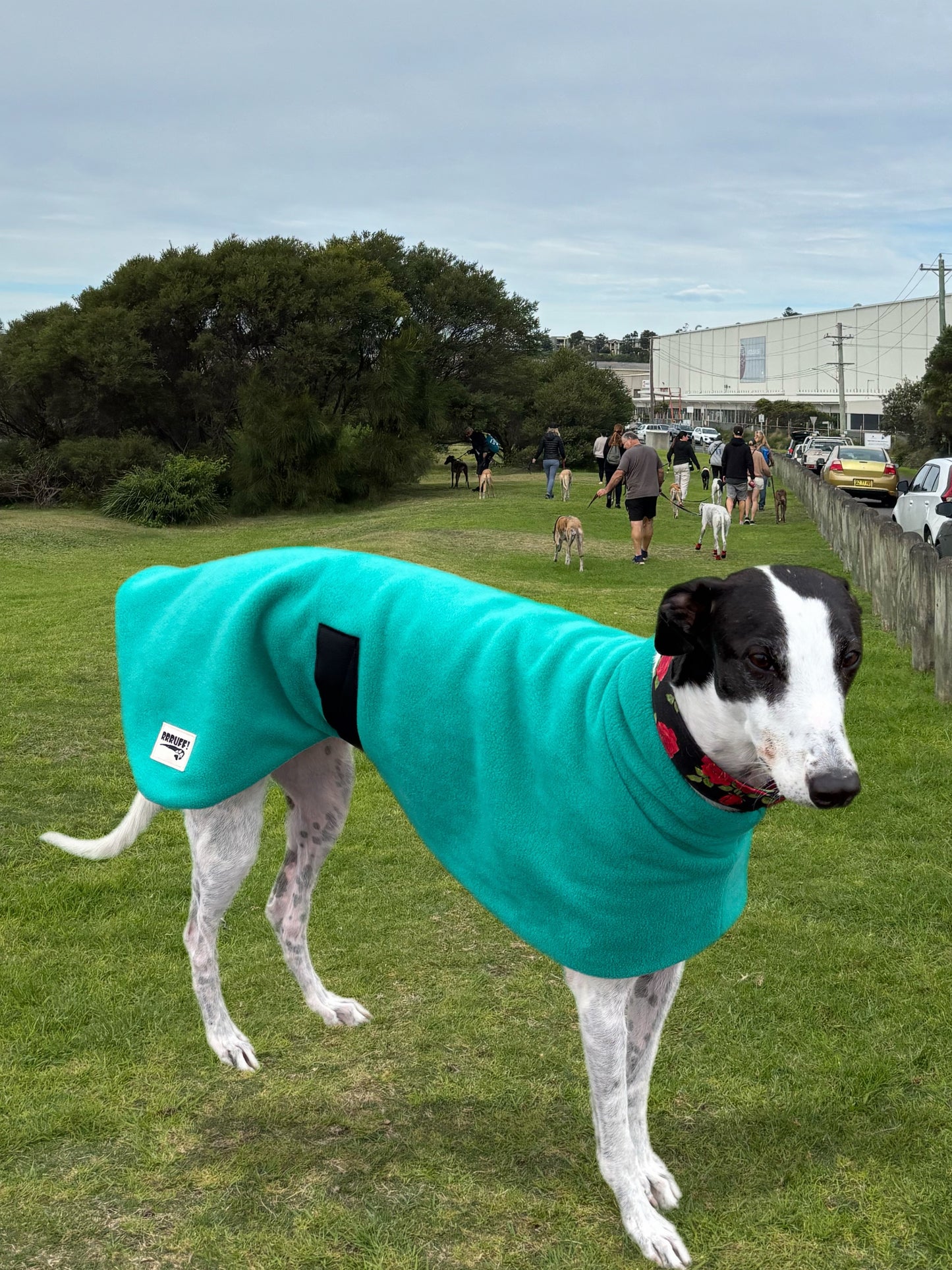 Emerald green thick and snuggly fleece sports
