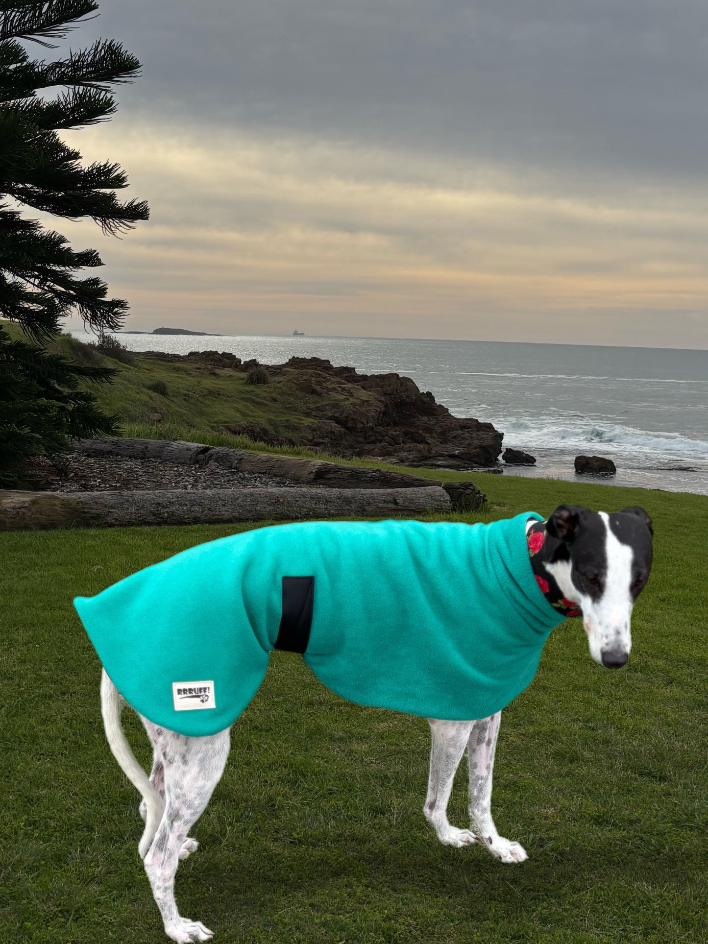 Emerald green thick and snuggly fleece sports