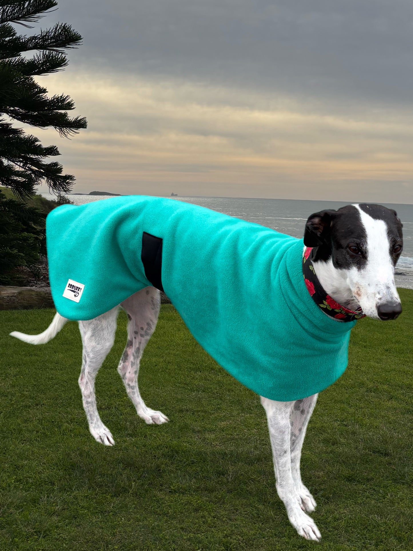 Emerald green thick and snuggly fleece sports