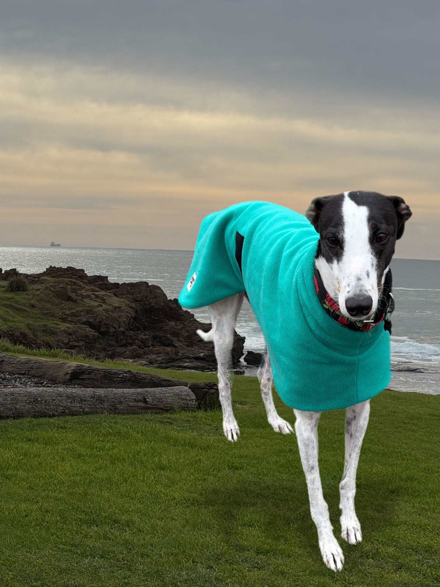 Emerald green thick and snuggly fleece sports
