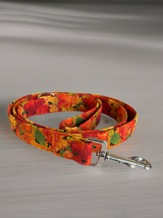 Simply gorgeous autumn leaves vibrant Greyhound Martingale collar cotton covered super soft