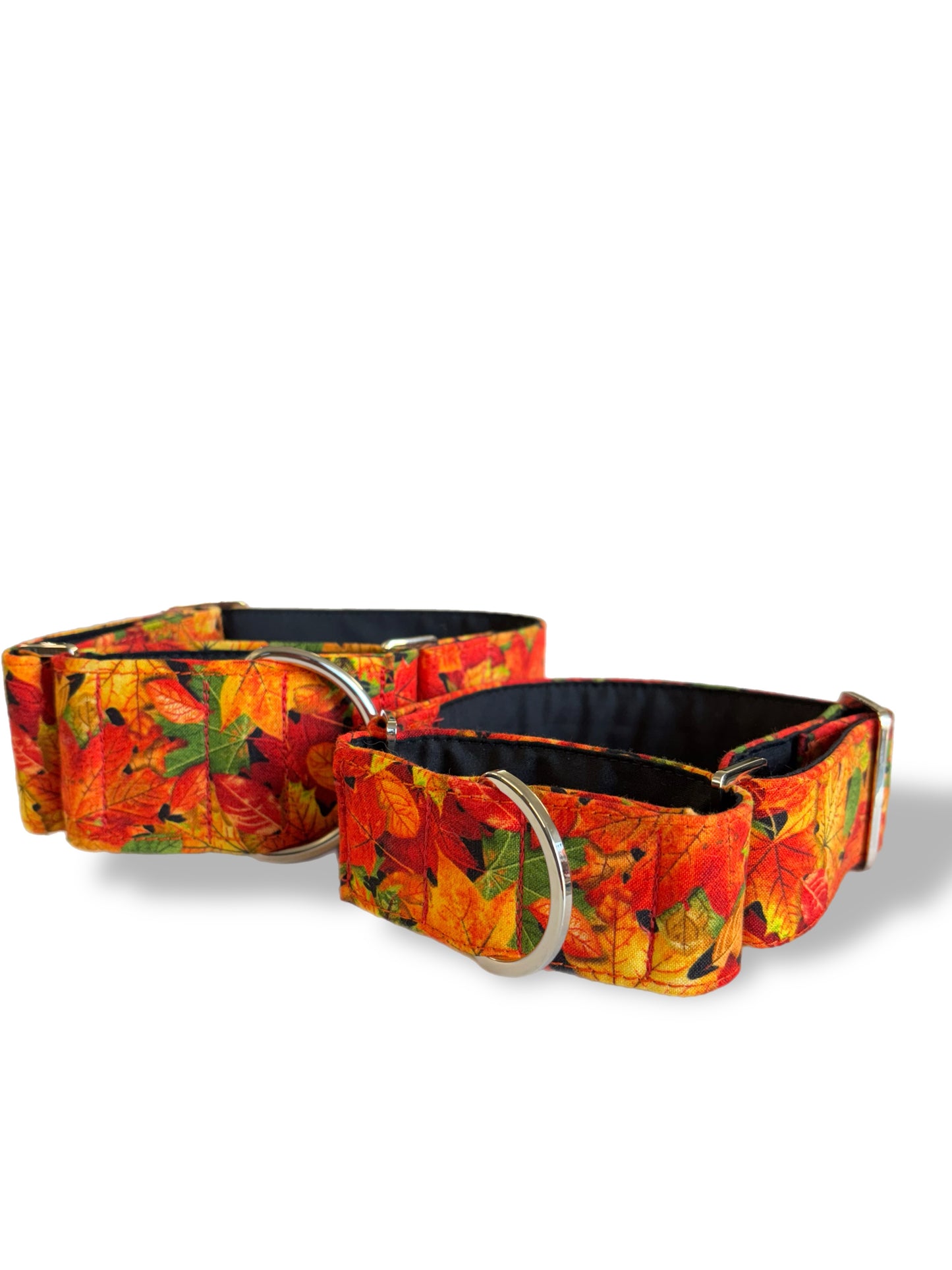 Simply gorgeous autumn leaves vibrant Greyhound Martingale collar cotton covered super soft