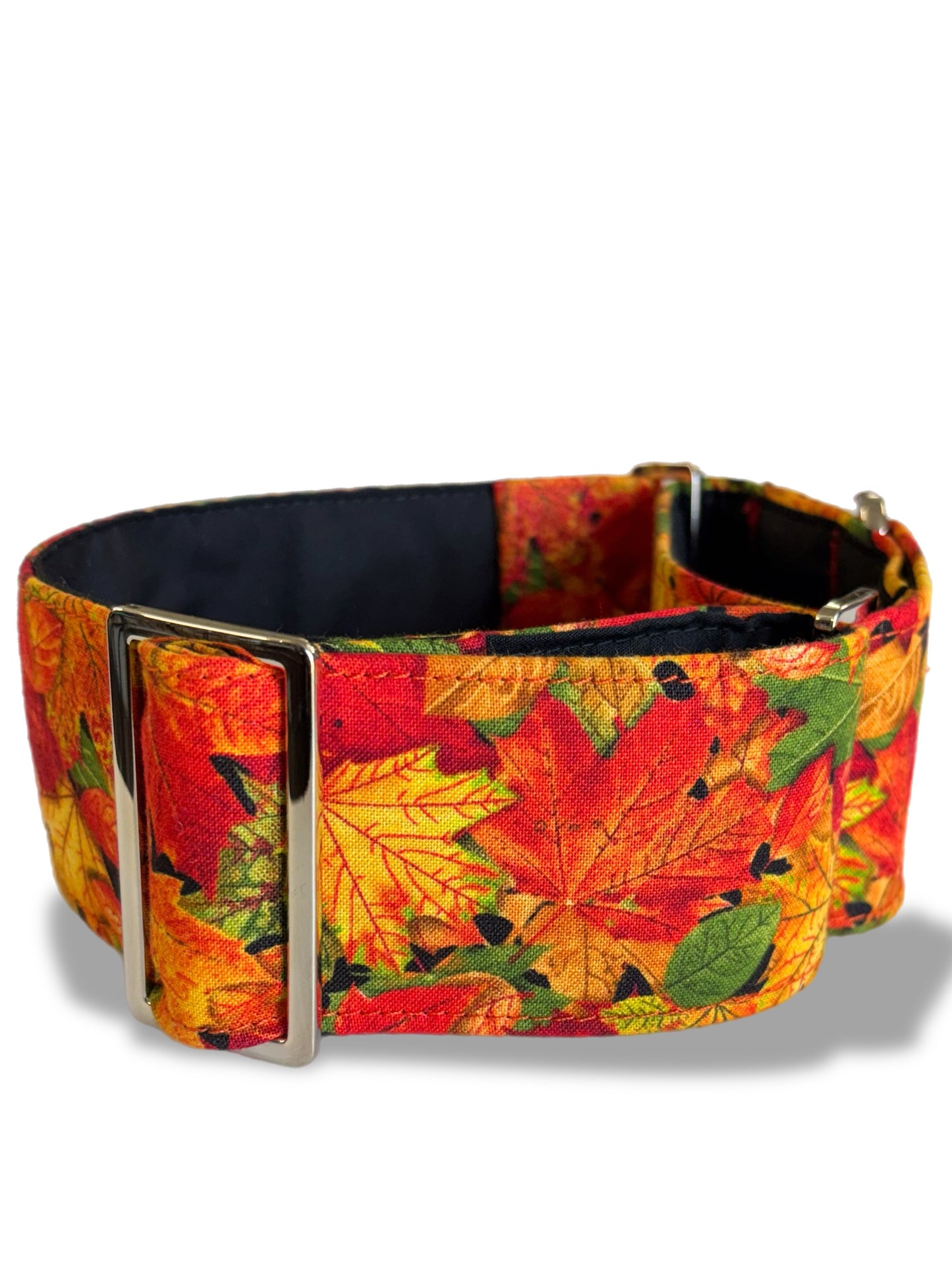 Simply gorgeous autumn leaves vibrant Greyhound Martingale collar cotton covered super soft