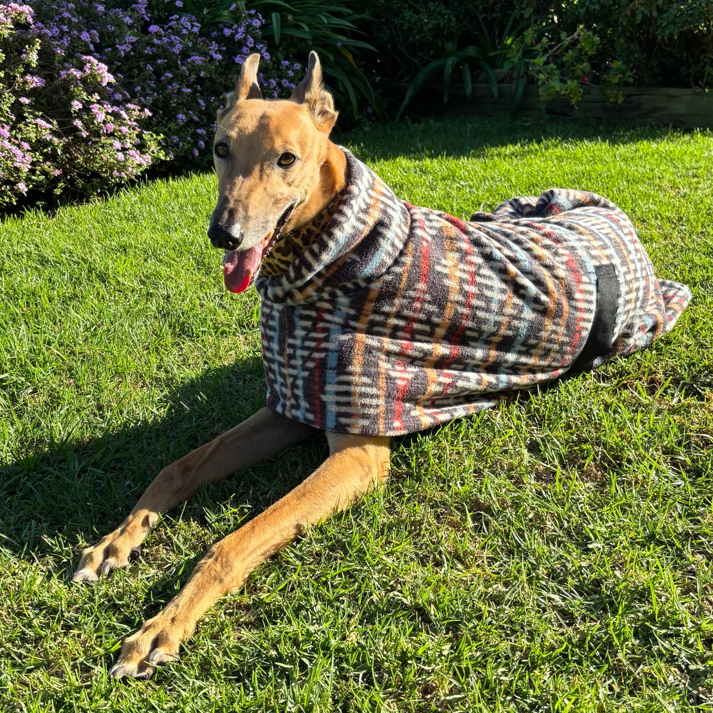 Squire shades of brown winter weight snuggly fleece sports