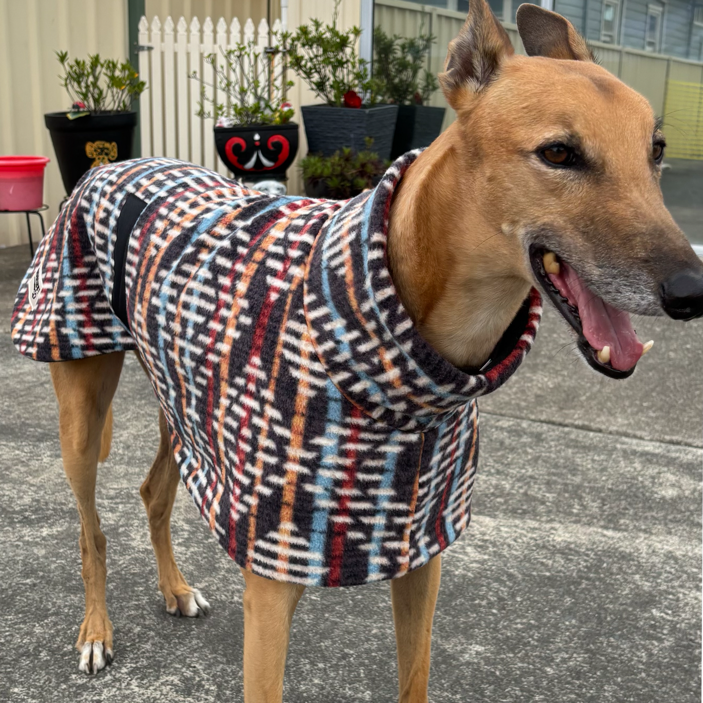 Squire shades of brown winter weight snuggly fleece sports