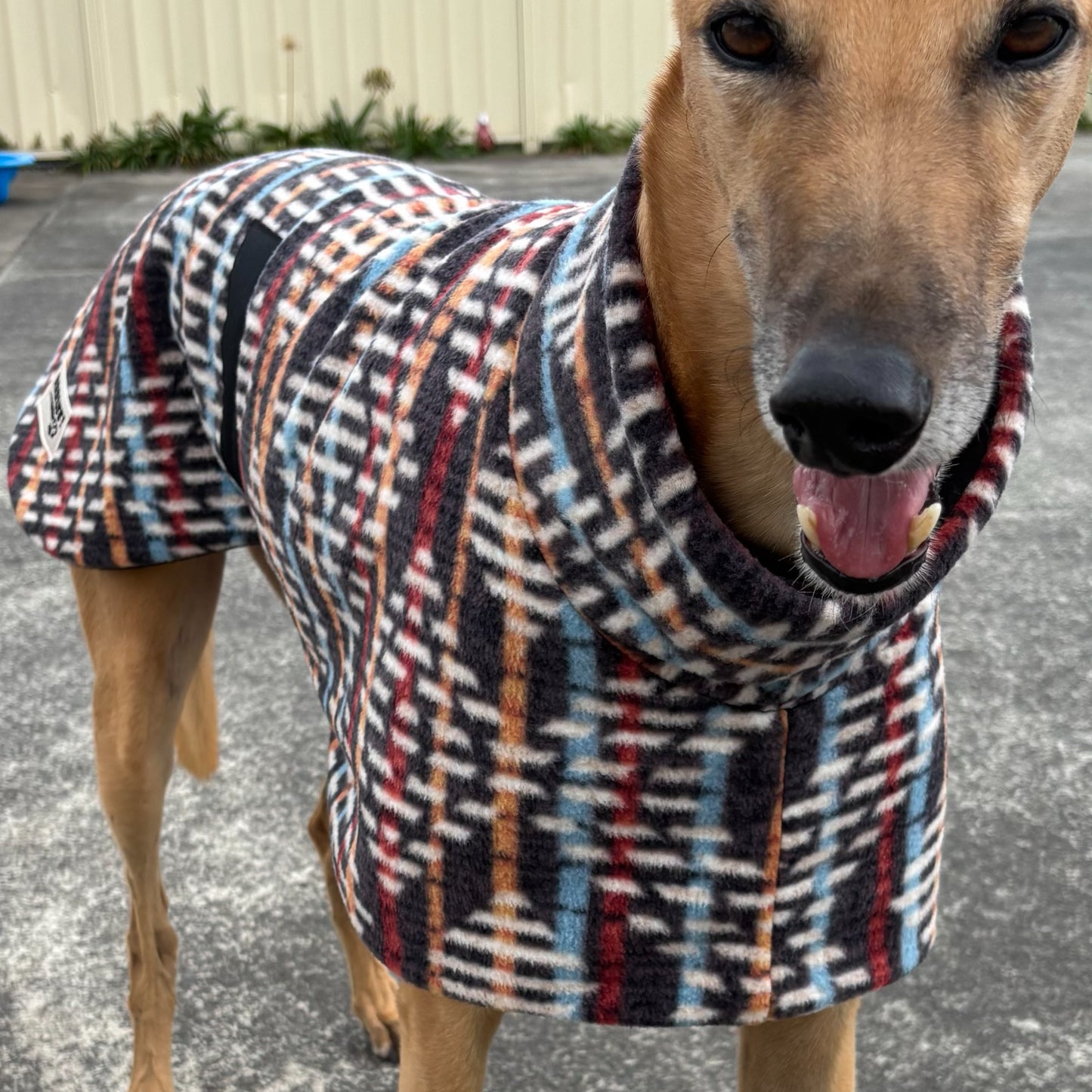 Squire shades of brown winter weight snuggly fleece sports