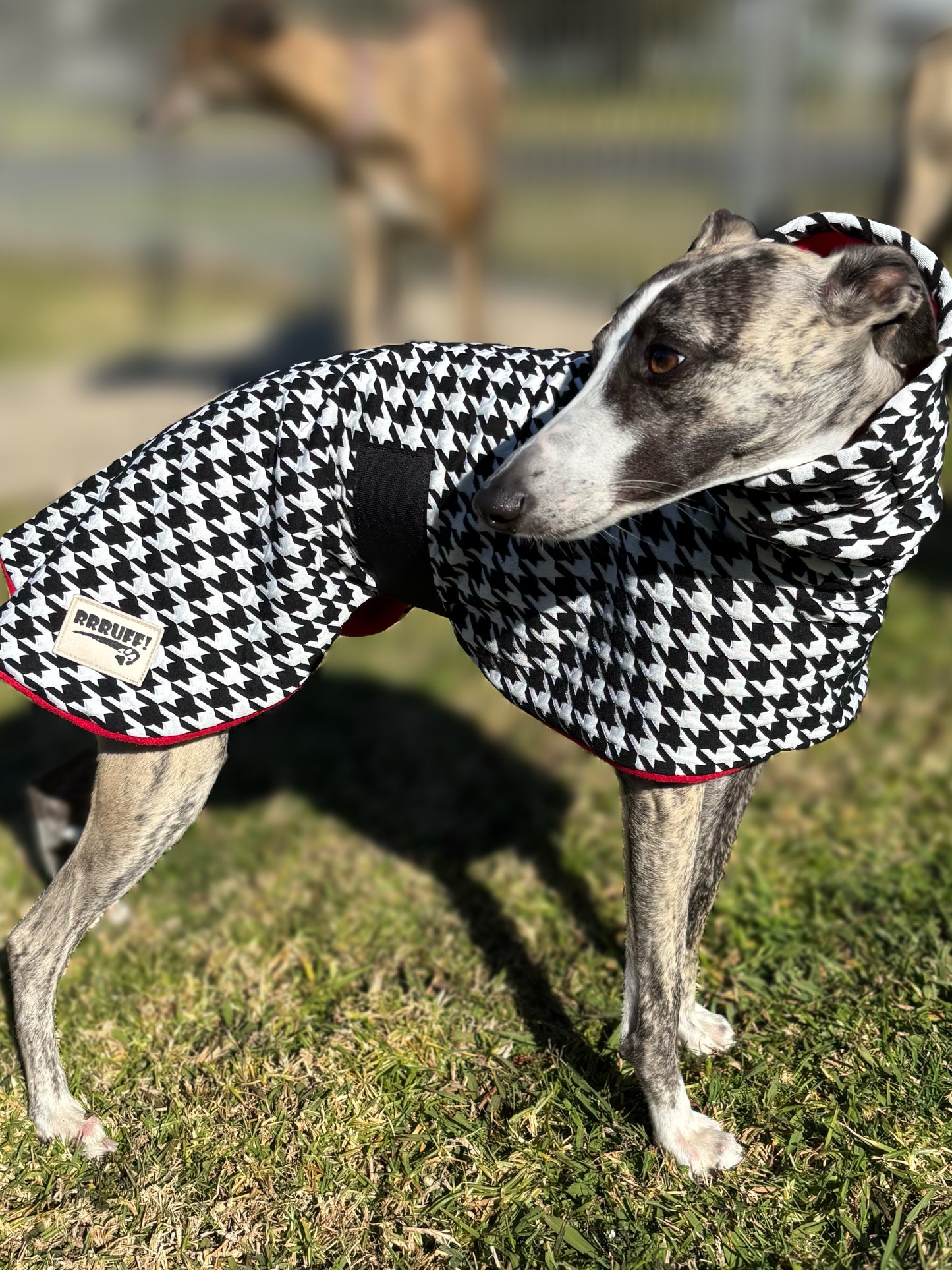 Houndstooth black and white with red whippet snuggly fleece