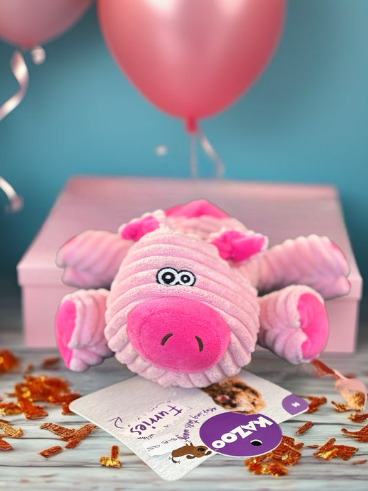 Kazoo Furries Funky Pig