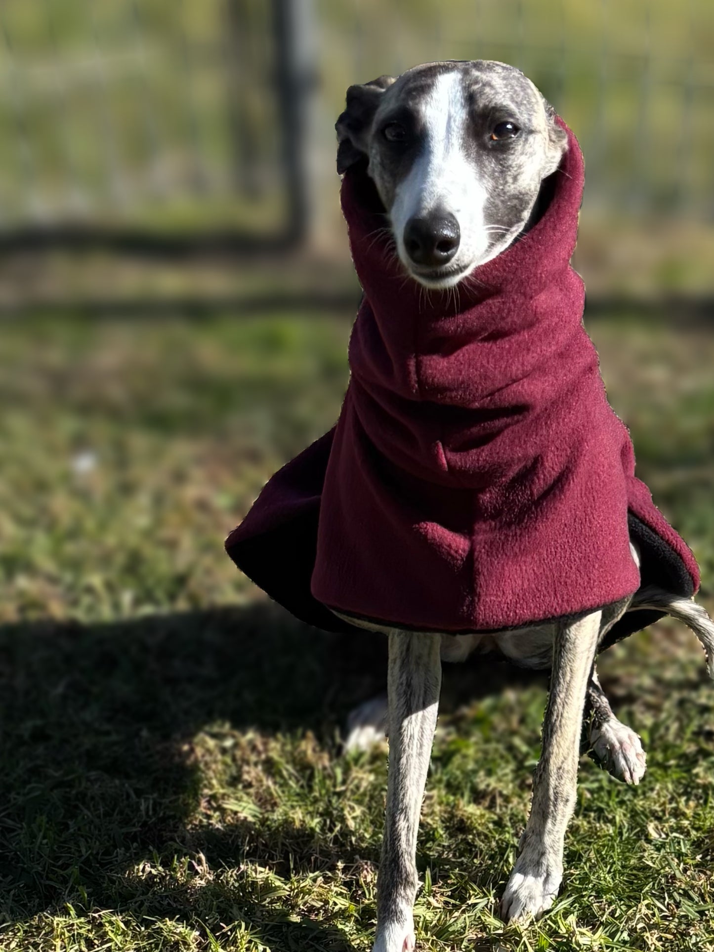 Deluxe whippet coats snuggly extra thick double fleece 7 color choices