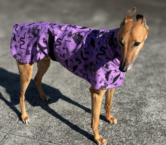 Potion purple Halloween greyhound cotton sports