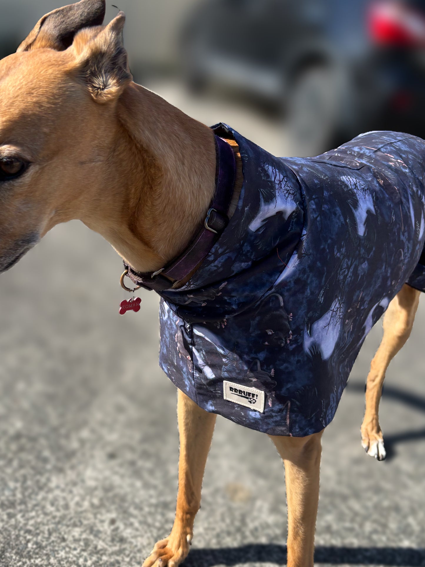 Ravens & Rats Halloween greyhound cotton sports