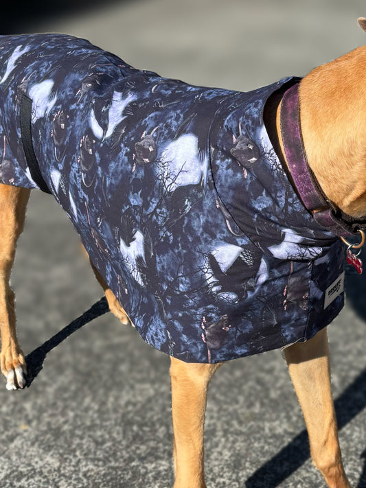 Ravens & Rats Halloween greyhound cotton sports