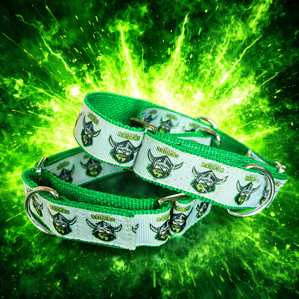 When one legend meets another! Raiders collar for the exceptional hound. Only a few made. Each piece is hand crafted