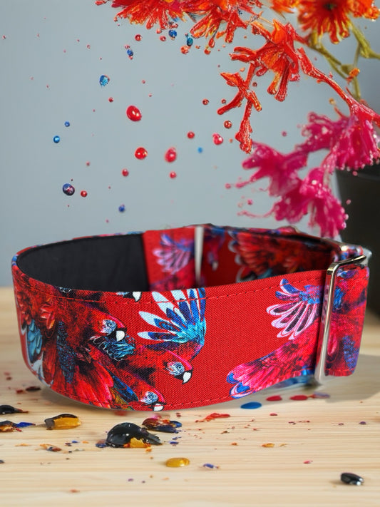 Bold scarlet macaw cotton covered greyhound Martingale collar 38mm wide super soft. Limited stock until after Christmas