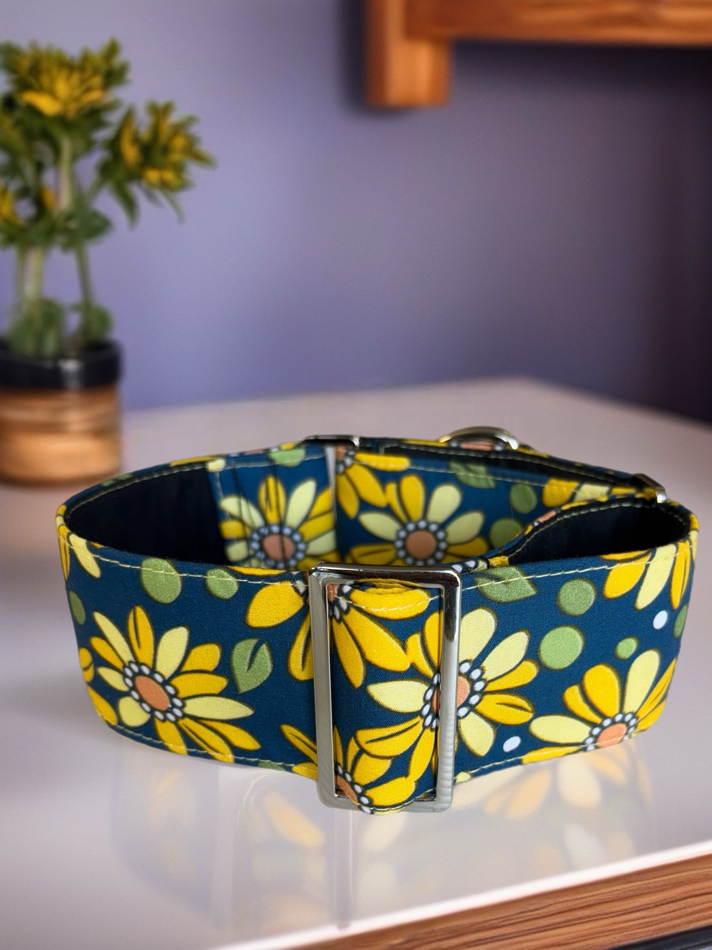 Retro daisy Martingale collar daisies on teal 50 & 38mm width
