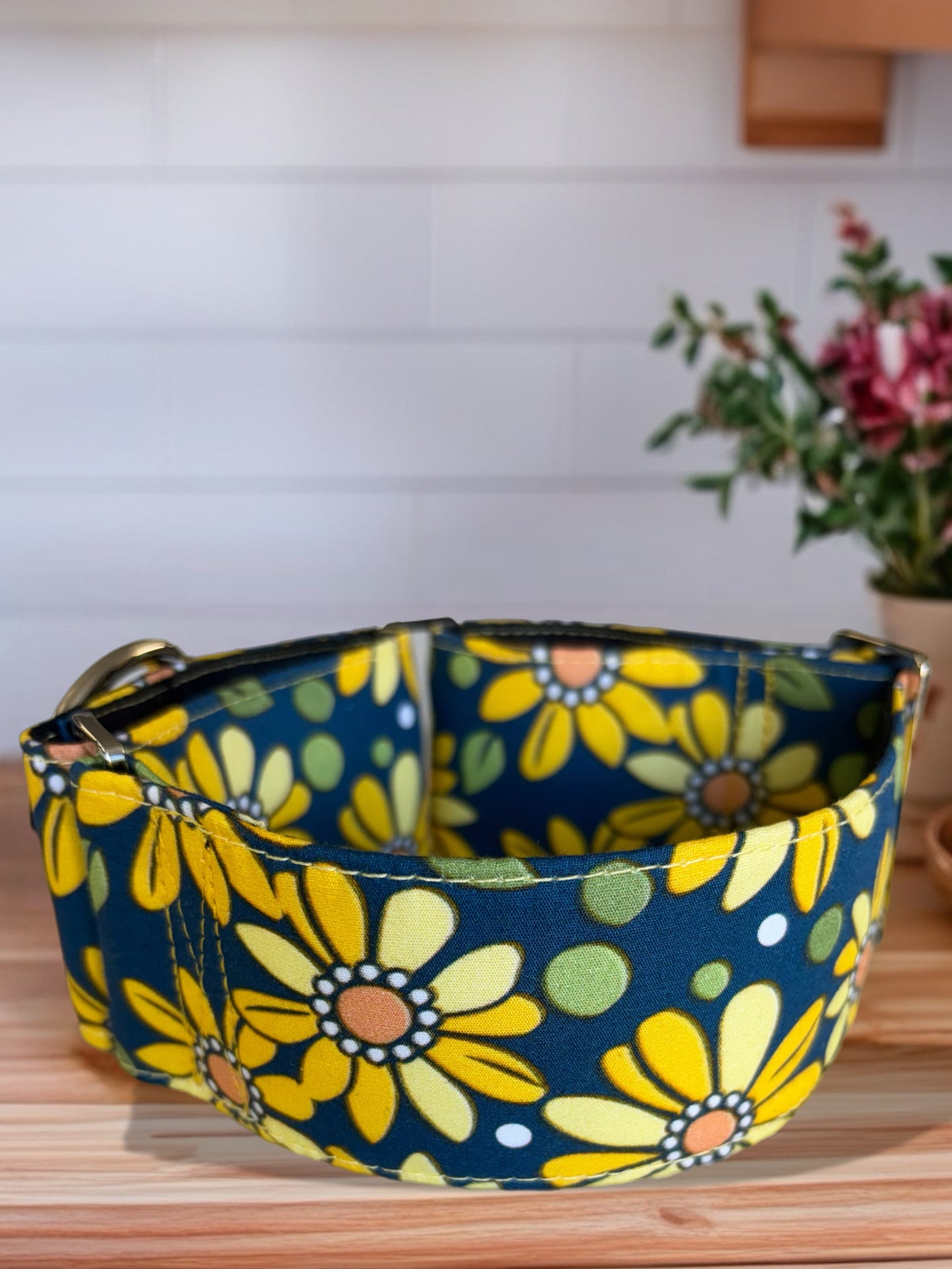 Retro daisy Martingale collar daisies on teal 50 & 38mm width