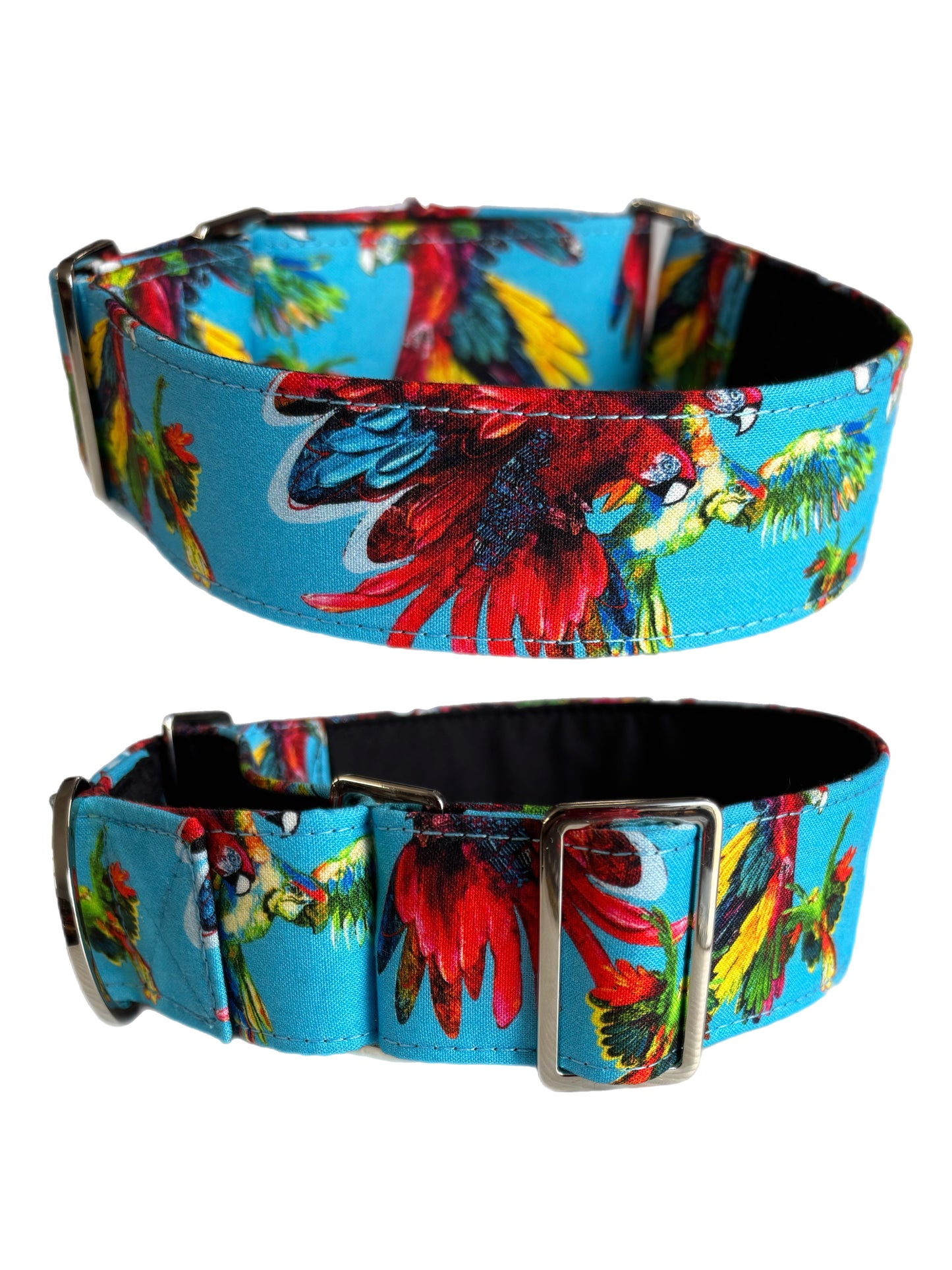 Macaw Cotton covered greyhound Martingale collar aqua turquoise gold shimmer wide super soft. Limited stock until after Christmas