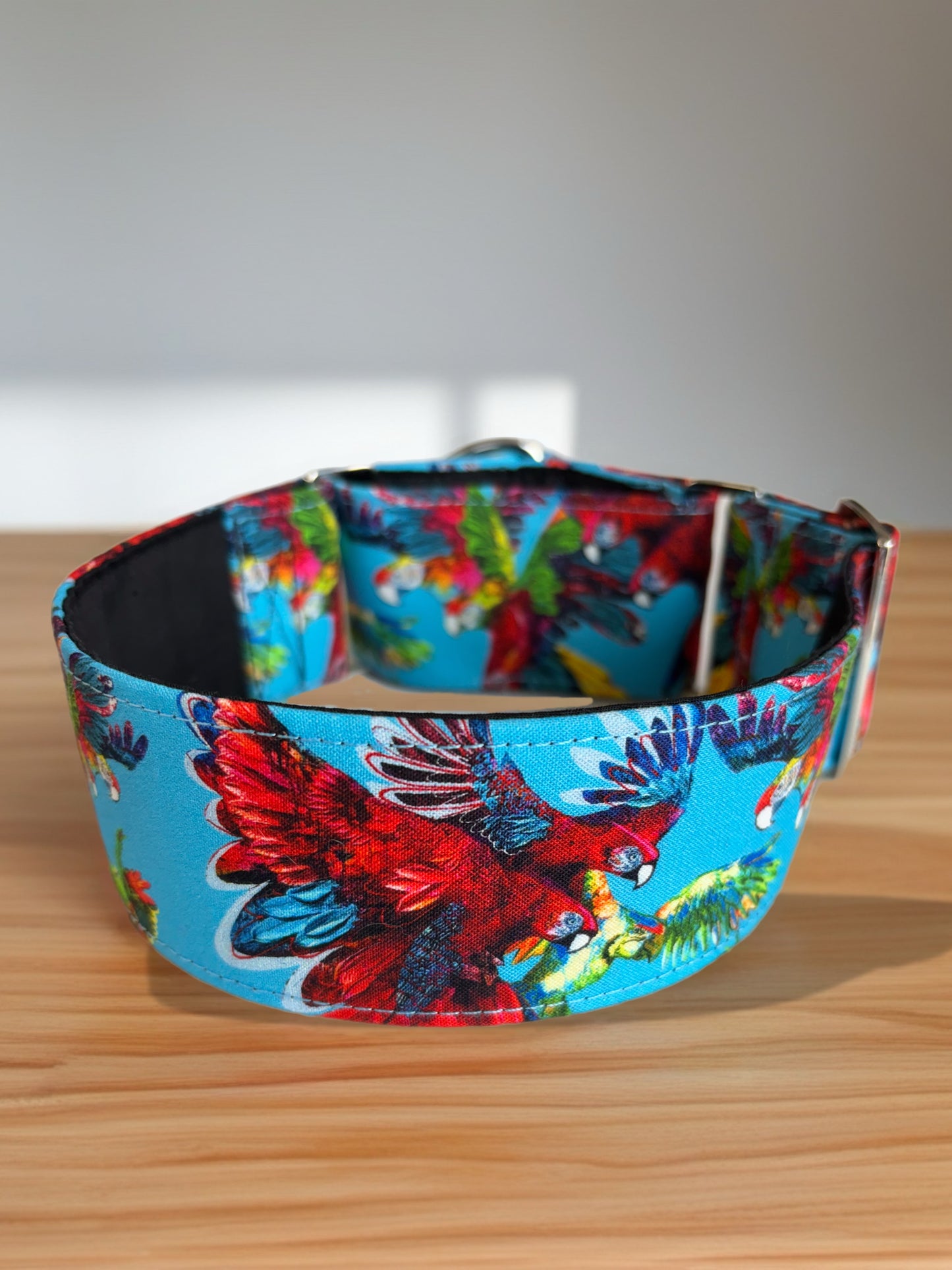 Macaw Cotton covered greyhound Martingale collar aqua turquoise gold shimmer wide super soft. Limited stock until after Christmas