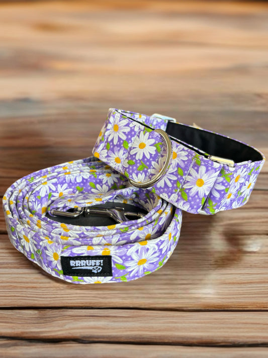 Soft purple daisies design Cotton covered greyhound Martingale collar wide super soft