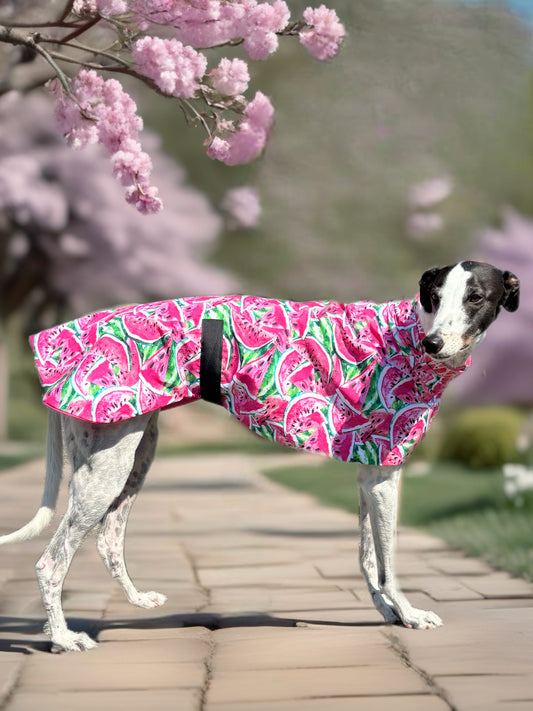 Summer sun coat featherweight greyhound slip-on coat watermelon fresh