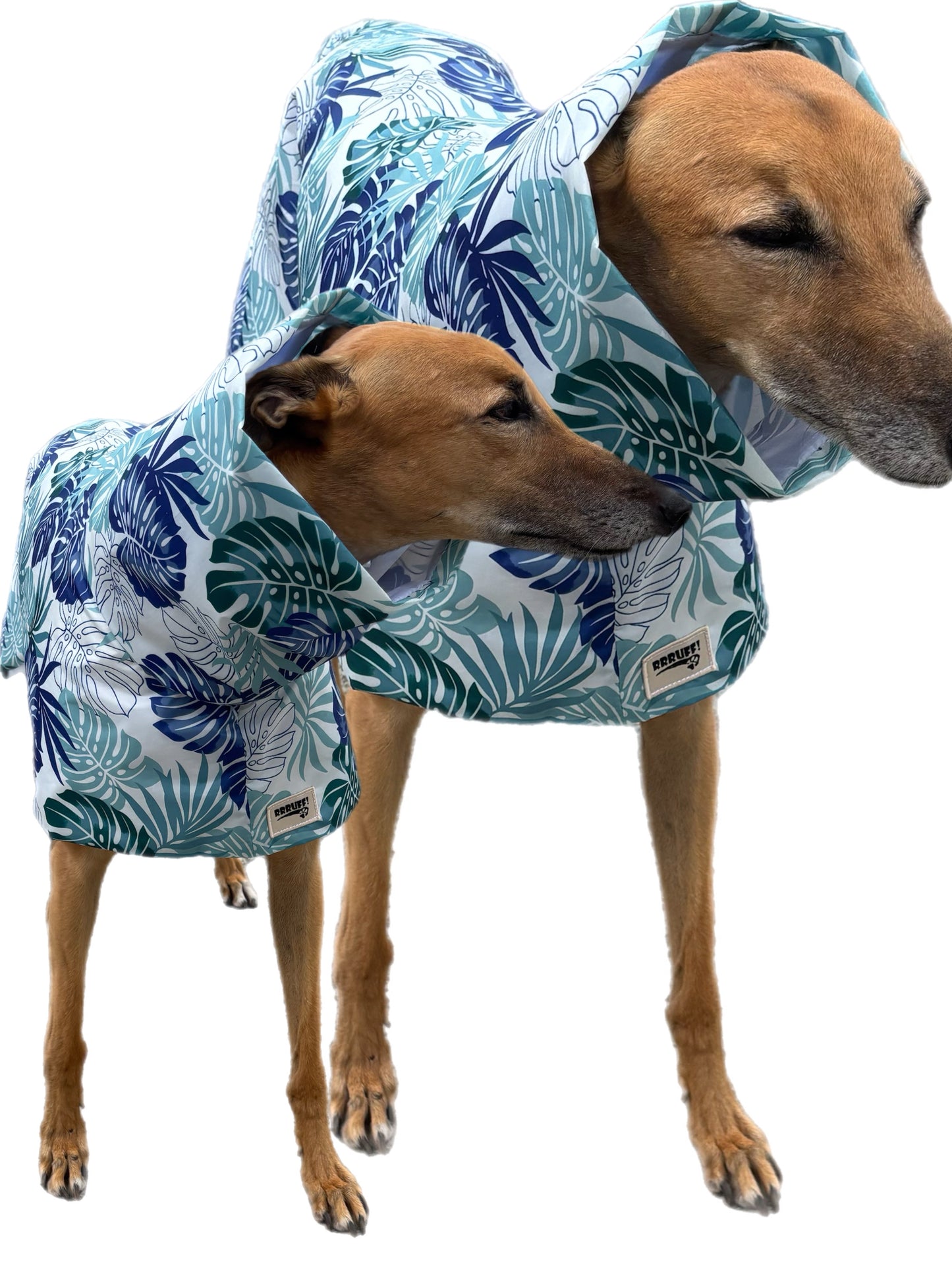 Monstera & seafoam green Greyhound deluxe rainwear, washable (now with optional leash hole)