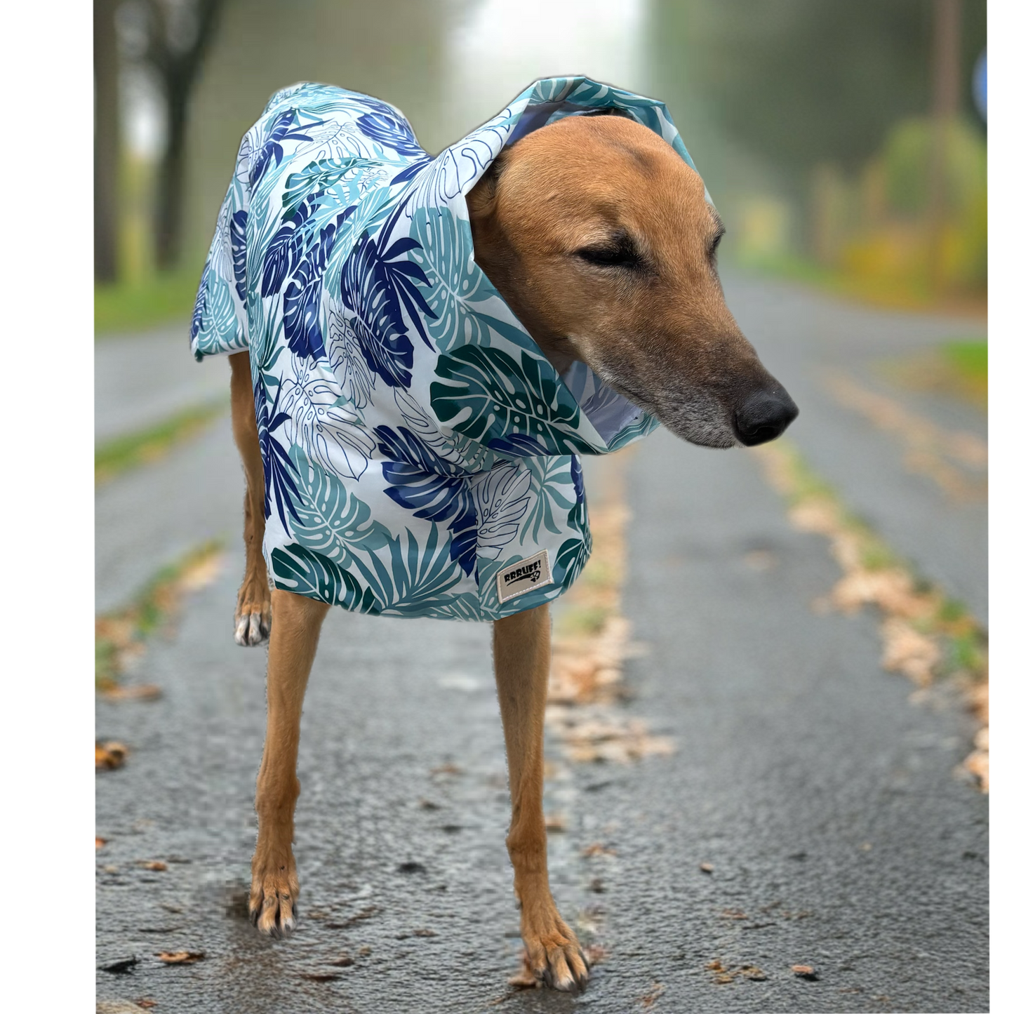 Monstera & seafoam green Greyhound deluxe rainwear, washable (now with optional leash hole)