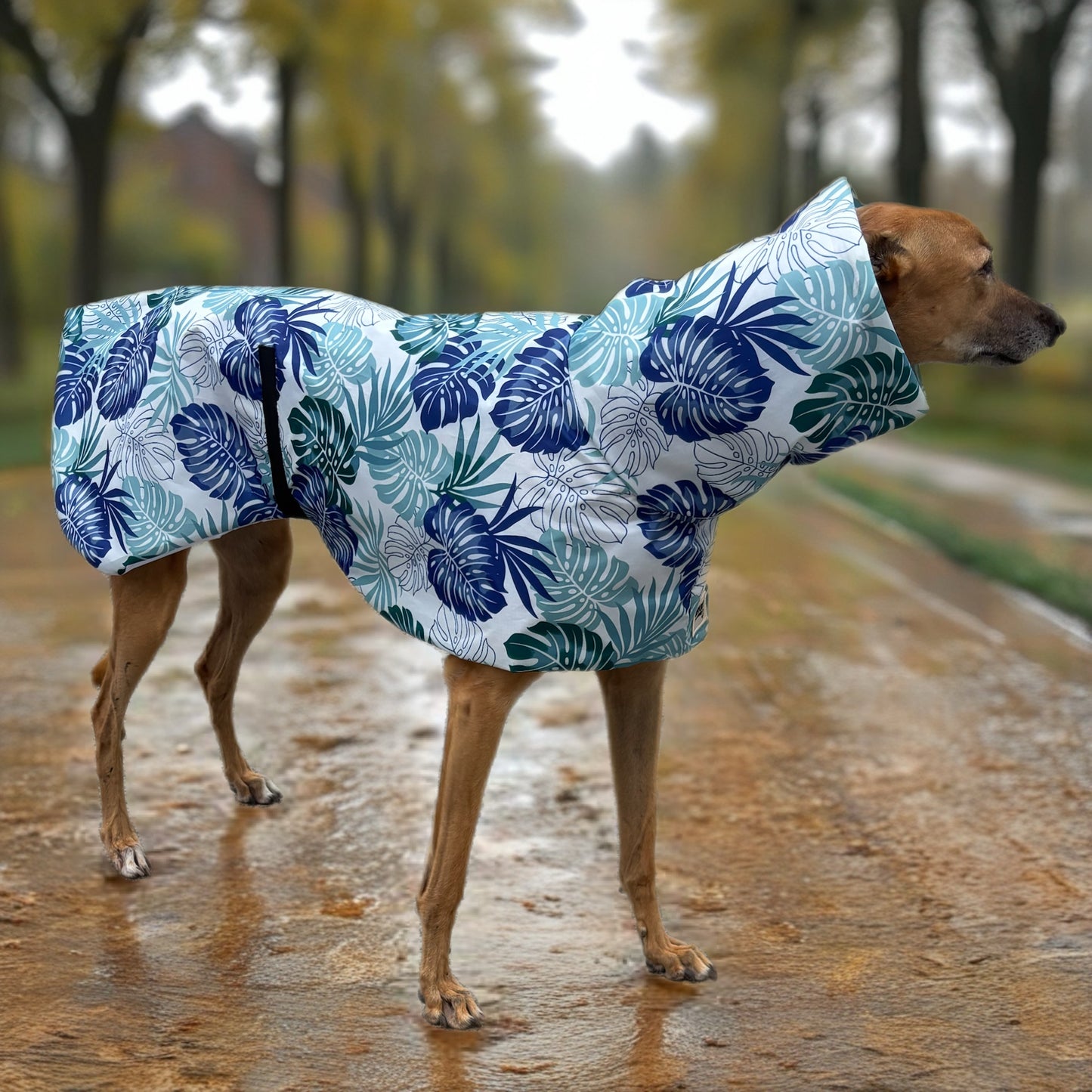 Monstera & seafoam green Greyhound deluxe rainwear, washable (now with optional leash hole)