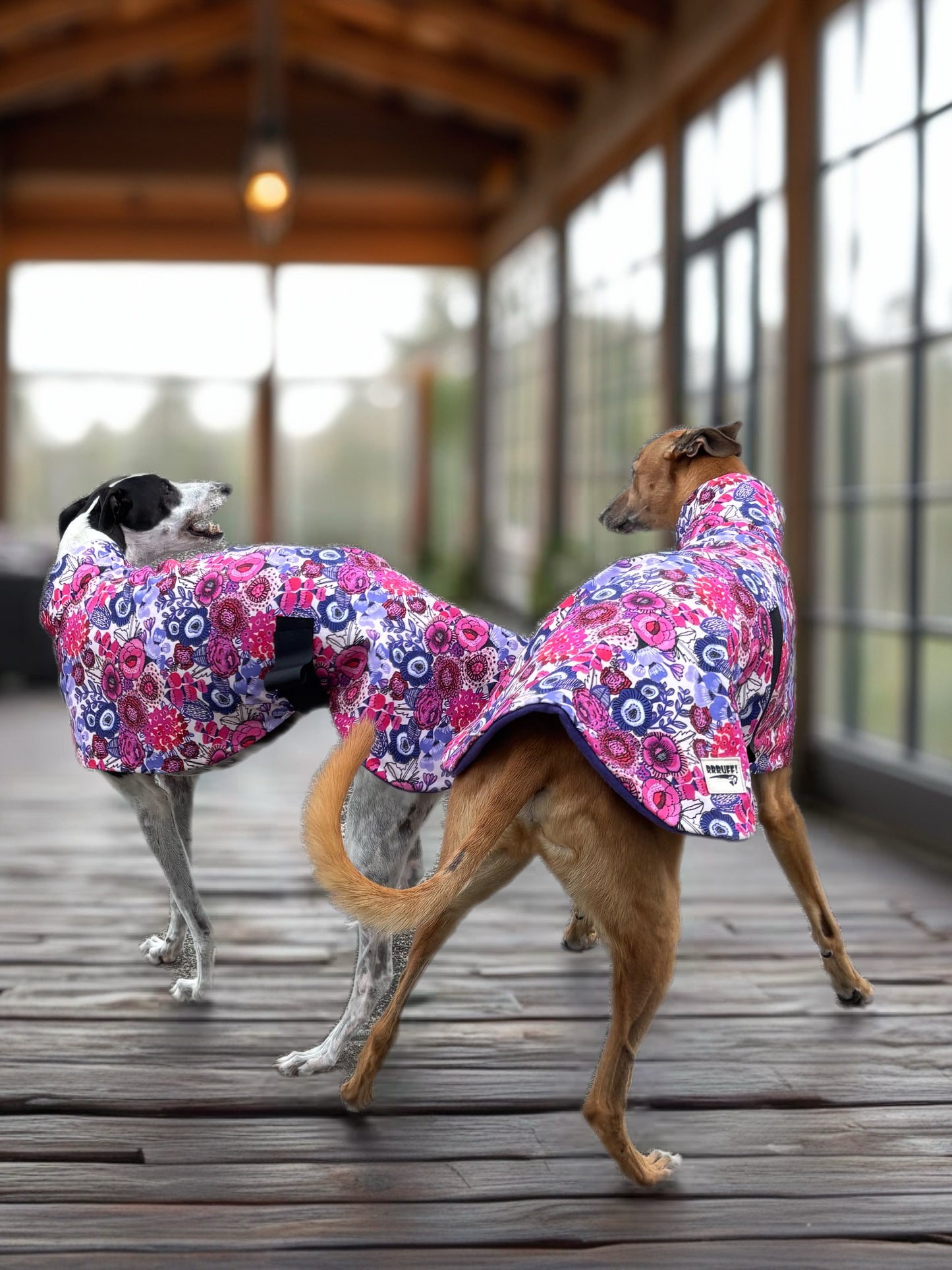 Electric bloom in Pink & purple midweight cotton & fleece greyhound sports coat