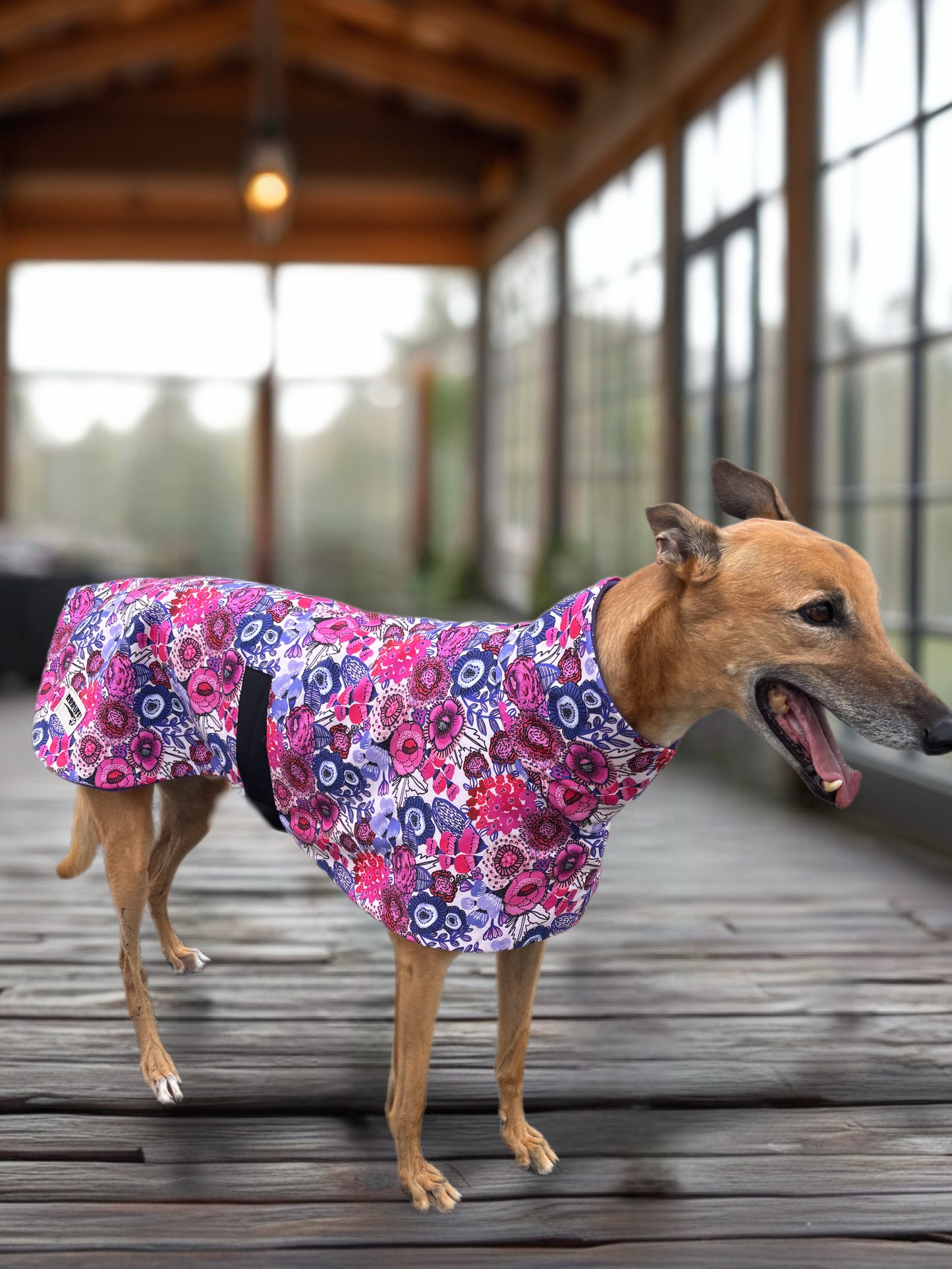 Electric bloom in Pink & purple midweight cotton & fleece greyhound sports coat