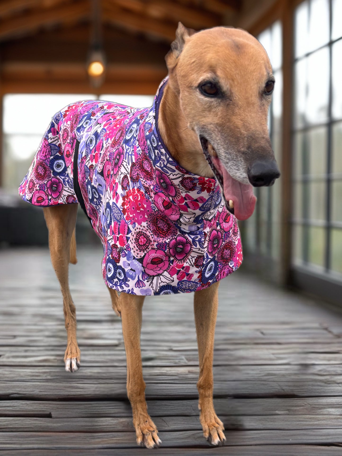 Electric bloom in Pink & purple midweight cotton & fleece greyhound sports coat