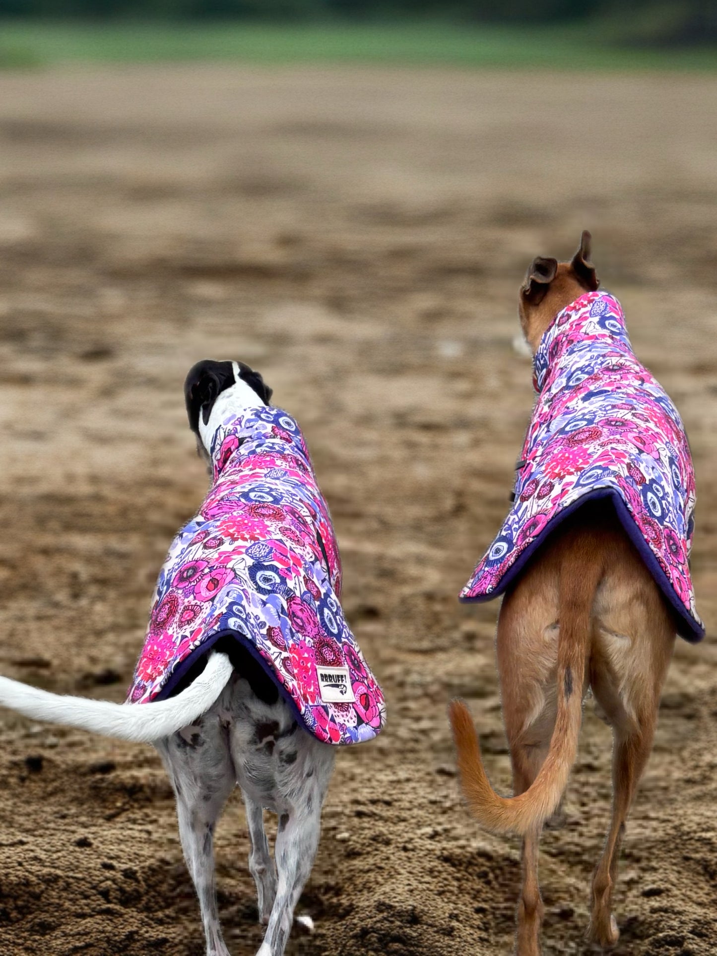 Electric bloom in Pink & purple midweight cotton & fleece greyhound sports coat