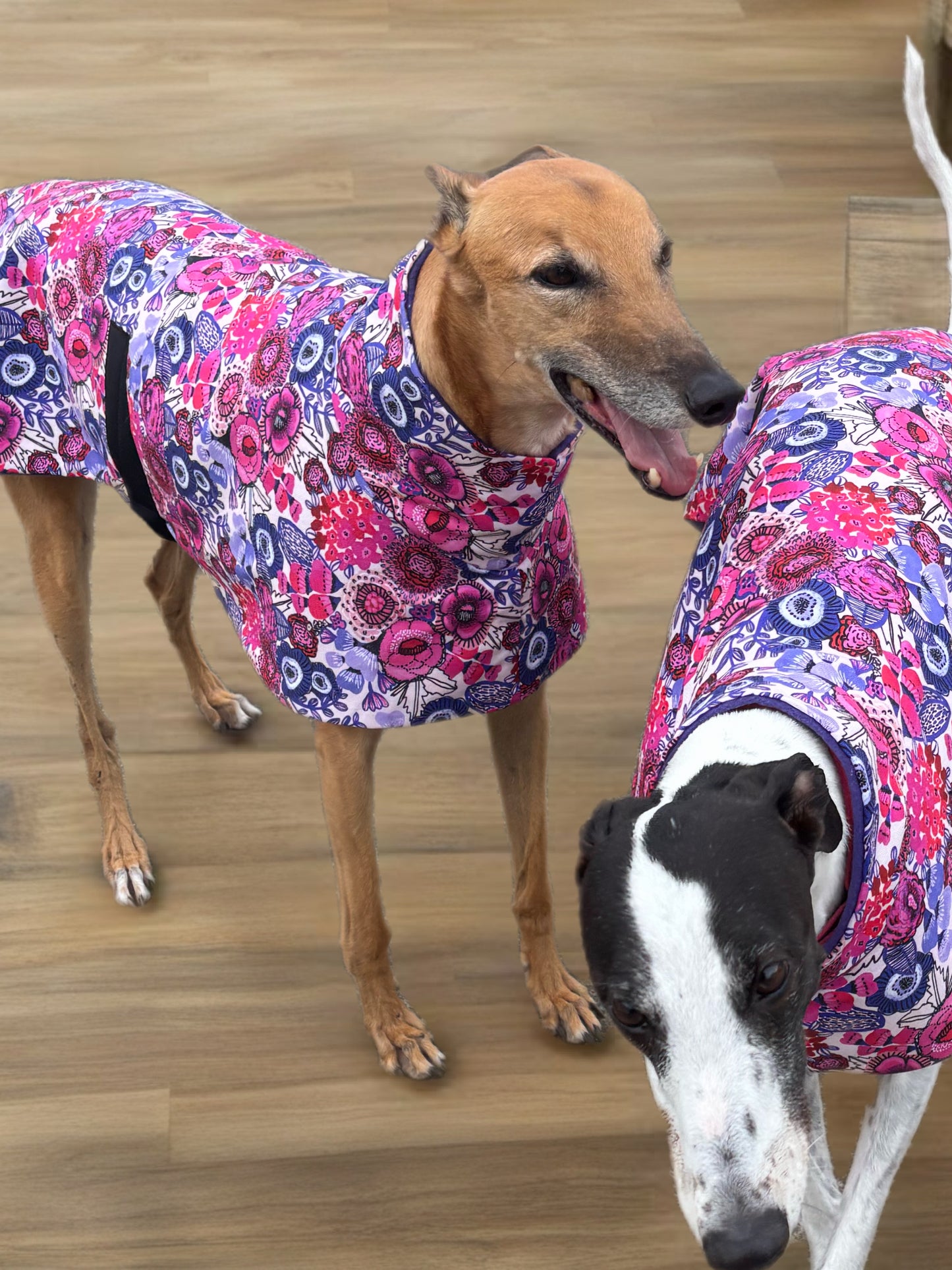 Electric bloom in Pink & purple midweight cotton & fleece greyhound sports coat
