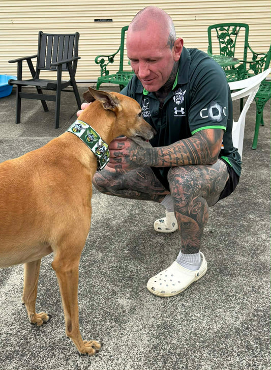 When one legend meets another! Raiders collar for the exceptional hound. Only a few made. Each piece is hand crafted