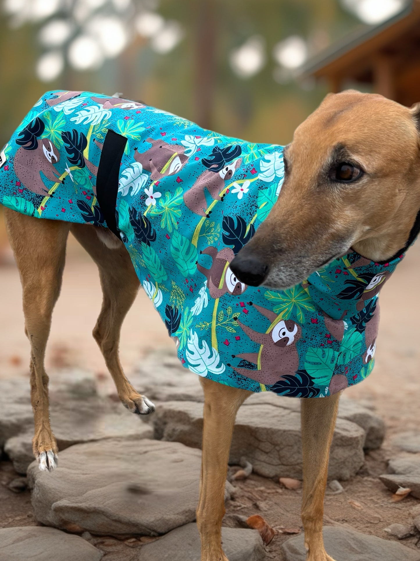 Smiling Sloth mid weight cotton & fleece greyhound sports coat