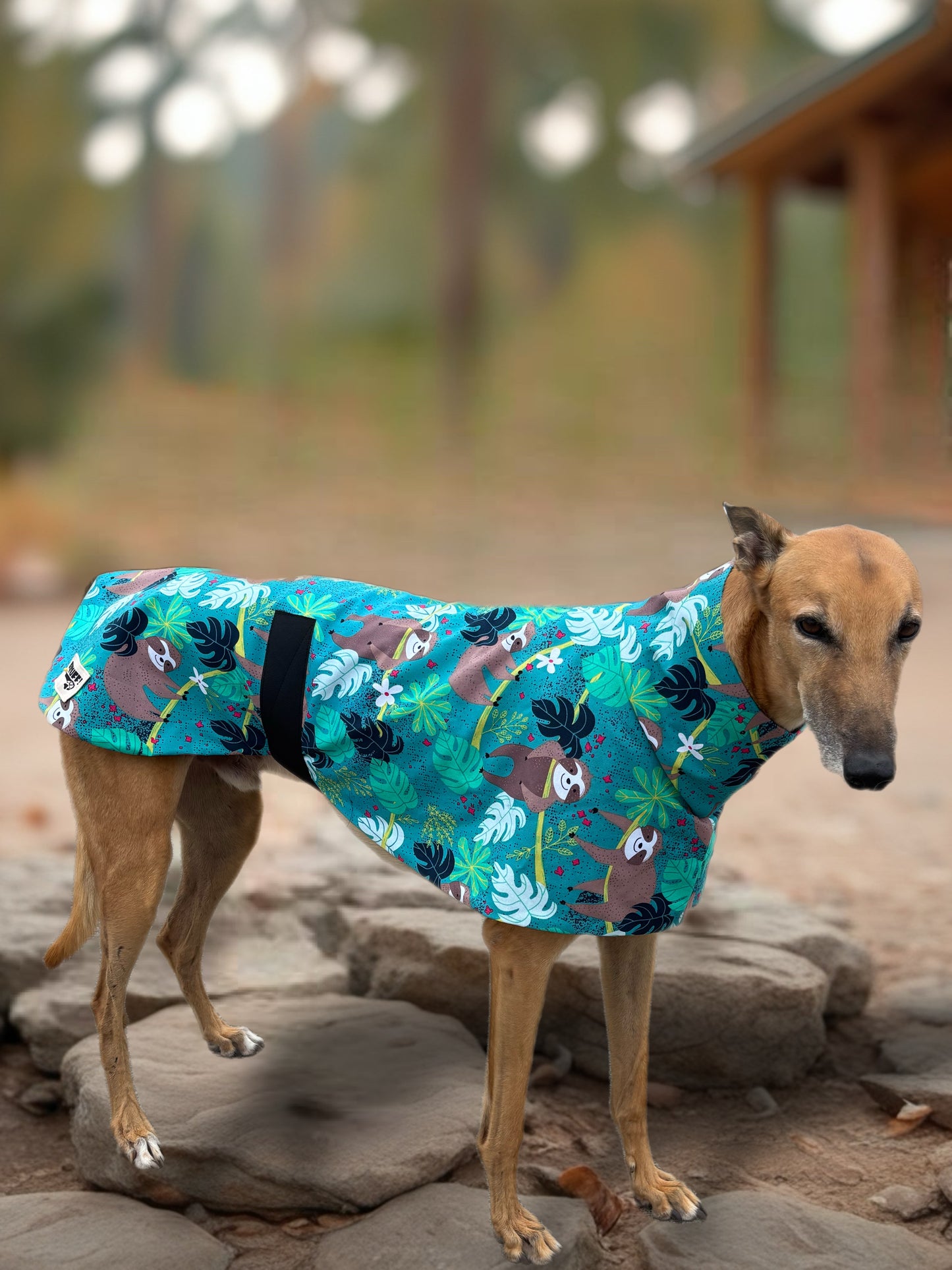 Smiling Sloth mid weight cotton & fleece greyhound sports coat