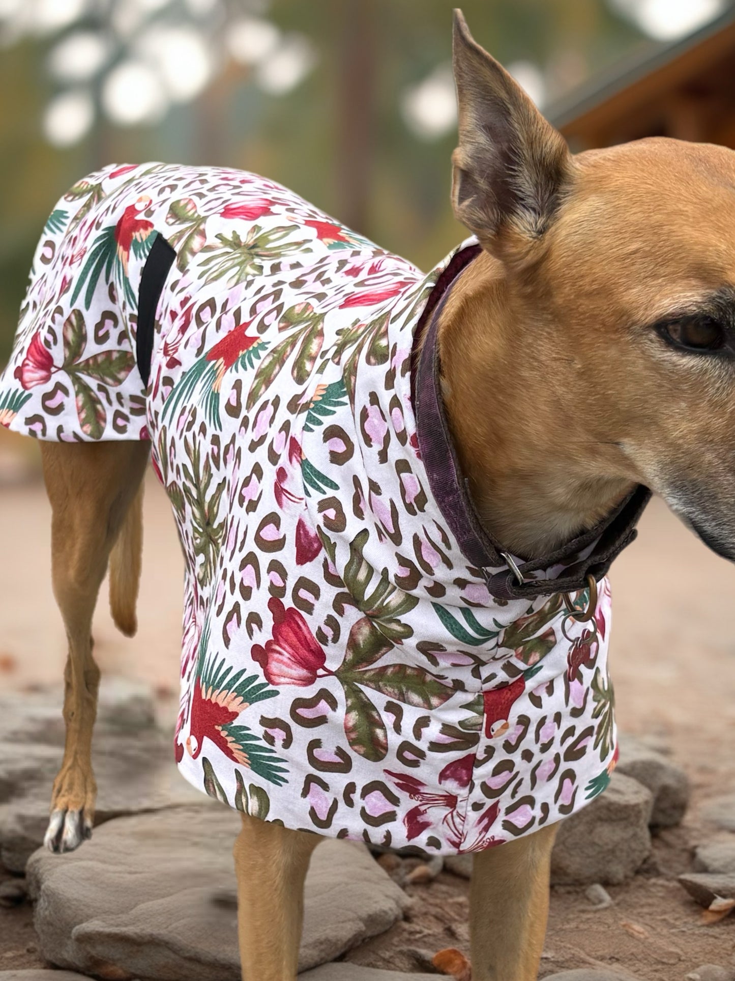 Wild tropics mid weight cotton & fleece greyhound sports coat
