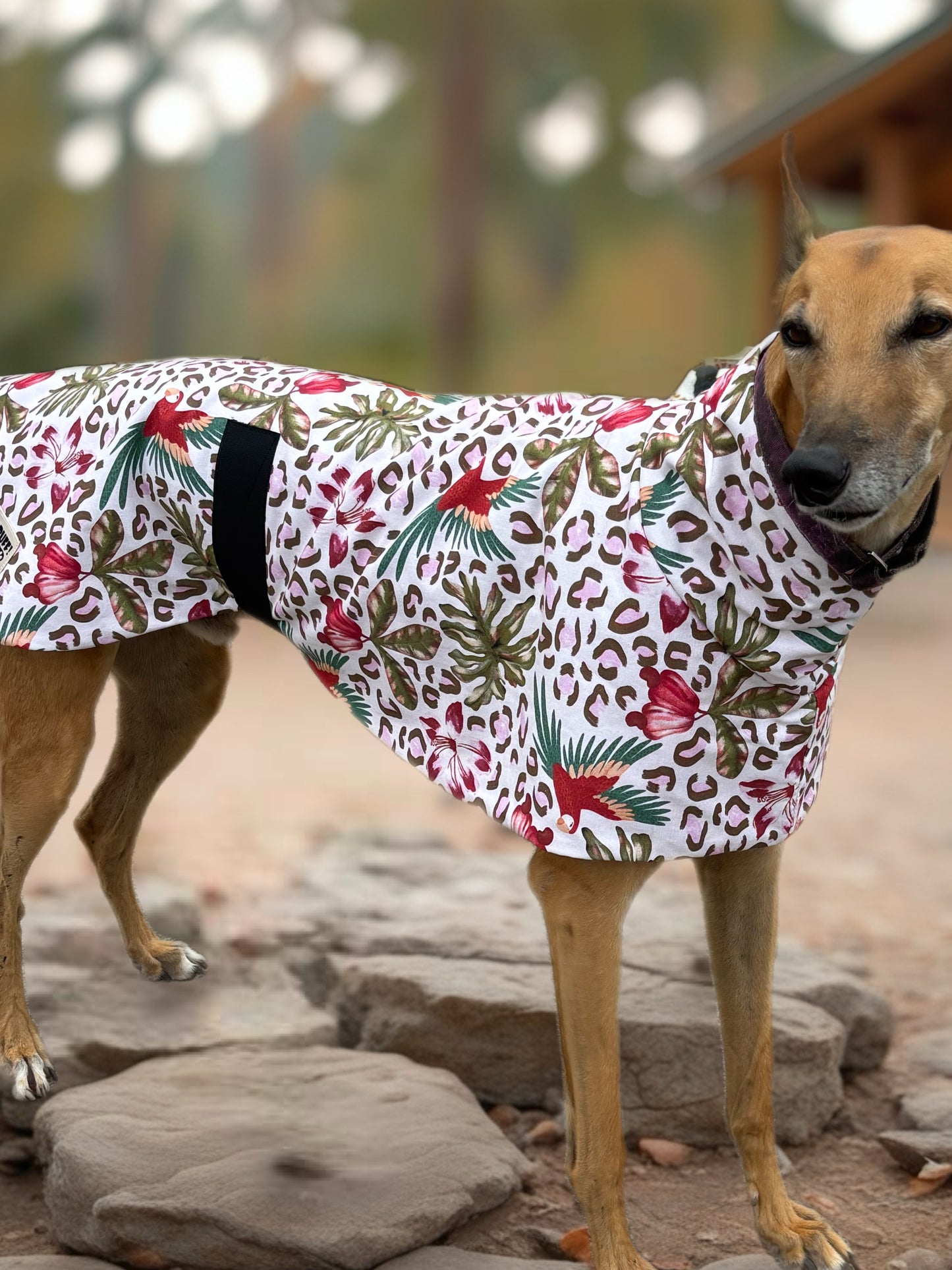 Wild tropics mid weight cotton & fleece greyhound sports coat