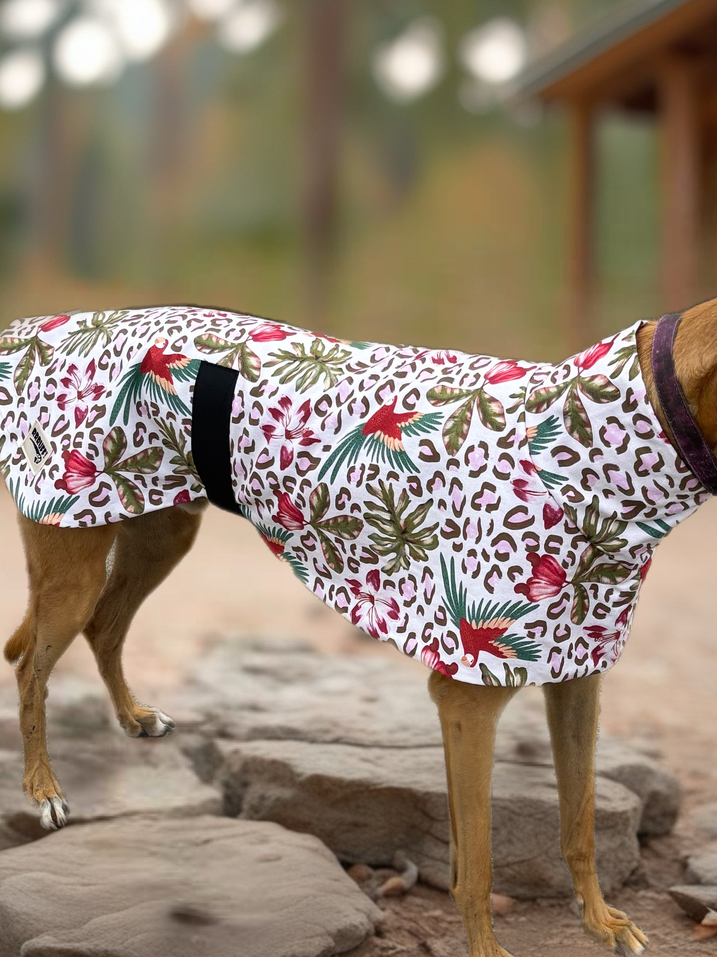 Wild tropics mid weight cotton & fleece greyhound sports coat